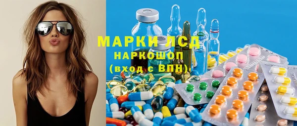 гидра Арсеньев
