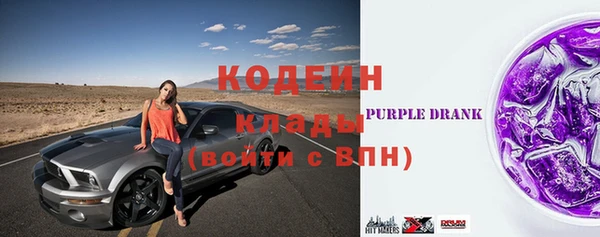 гидра Арсеньев