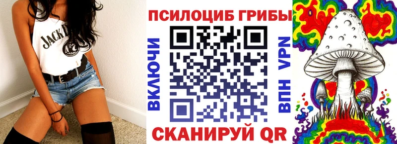 Псилоцибиновые грибы Cubensis купить Богородицк